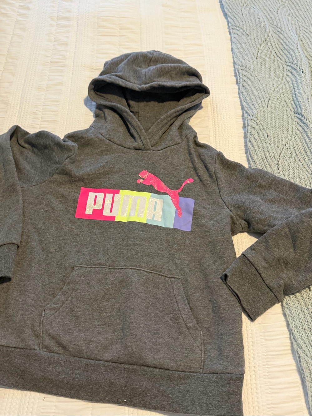 Puma Gray Hoodie with Pink Logo and Rainbow Block